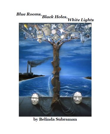 Blue Rooms, Black Holes, White Lights by Belinda Subraman
