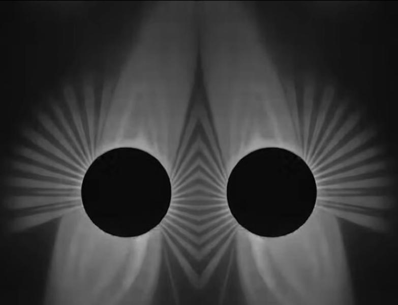 What the Shadows Seek