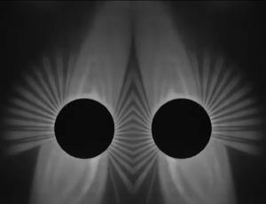 What the Shadows Seek