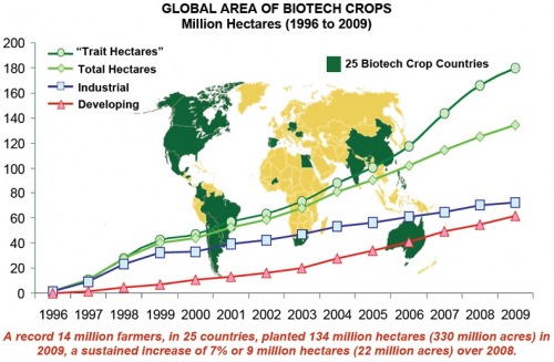 Global Area of Biotech Crops - Chart