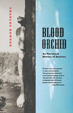 Click to order Charles Bowden's Blood Orchid