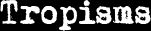 Tropisms
