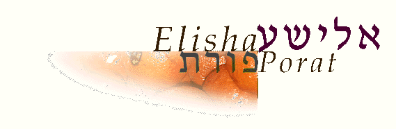 ELISHA PORAT fears no transliteration