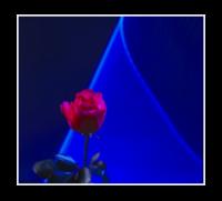 Ruby Laser Rose & Blue Neon Swirl